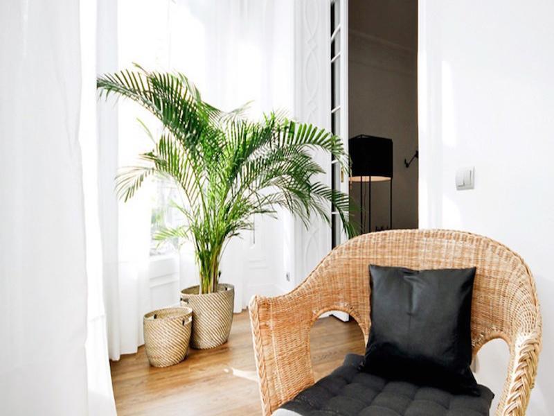 Malaga Apartments Andes La Cala Del Moral エクステリア 写真